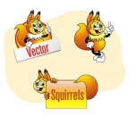 Image for Squirrel Vector - 30188