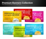 Image for Vertical Price Banners - 30299