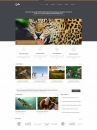 Image for Abalia - Responsive Web Template